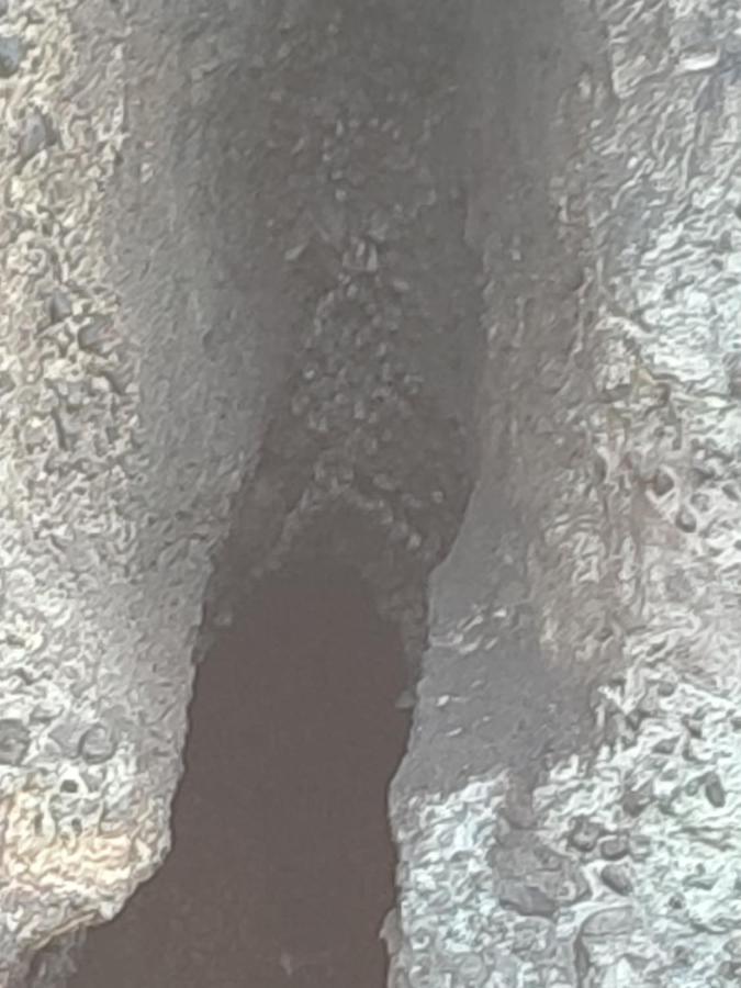 Les Cactus Apartman Bellefontaine Kültér fotó