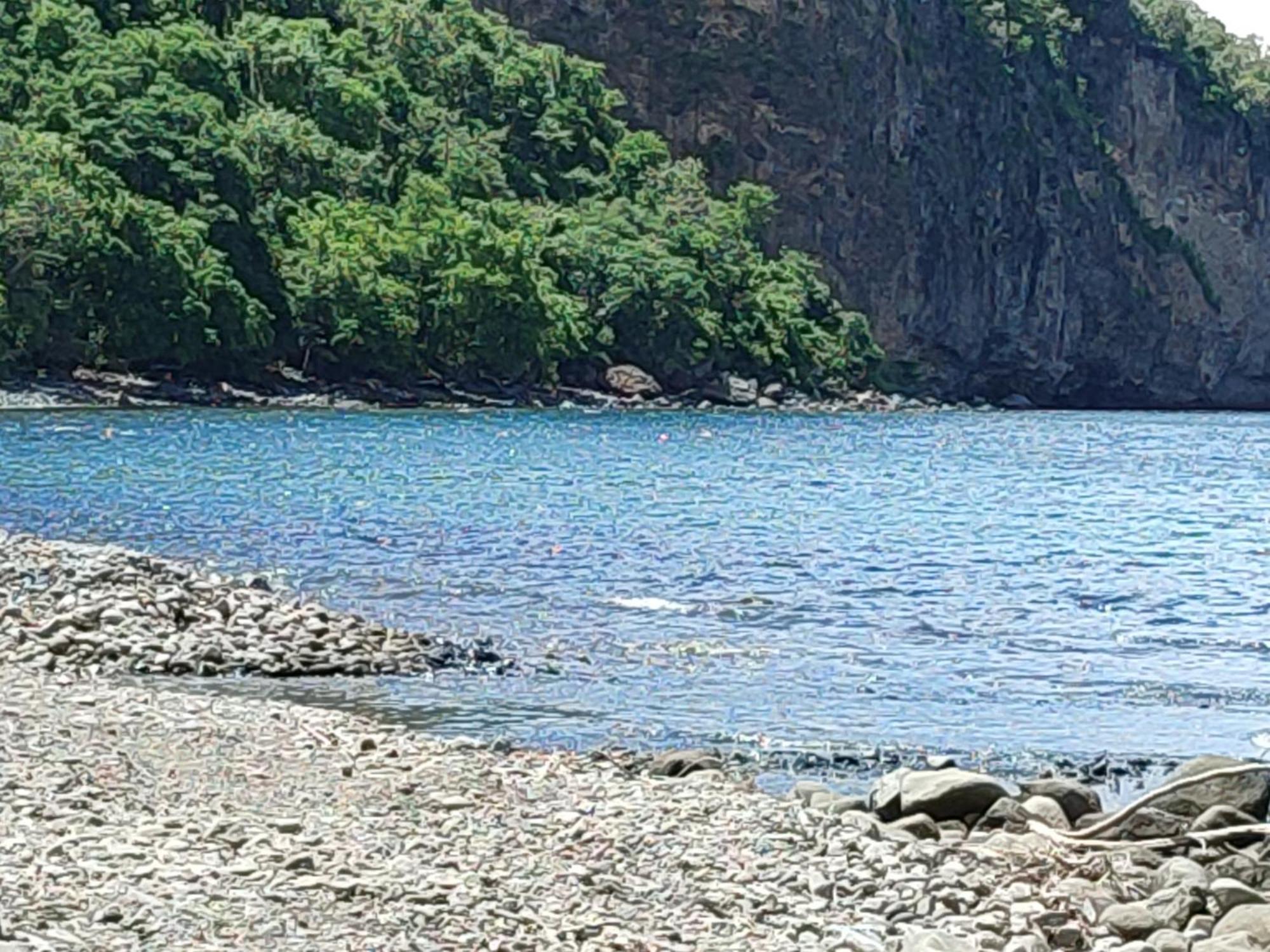 Les Cactus Apartman Bellefontaine Szoba fotó